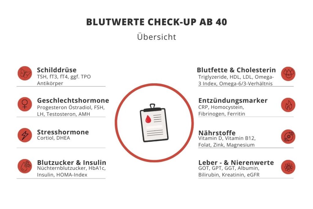 Übersicht Blutwerte Check-up ab 40 – die wichtigsten Blutwerte auf einen Blick